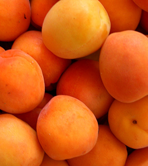 Apricots