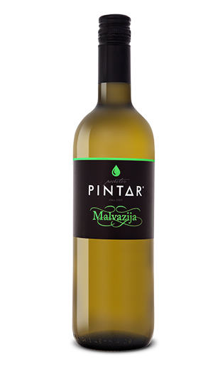 Pintar domače vino - Malvazija